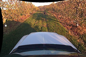 An example image from the NREC Person Detection Dataset, where a person is squatting in an orchard row.