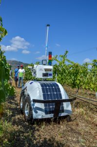 Another view of the VineScout robot.